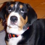 Waaaaaaaaaaas machen wir ? 2012-01-27-2139-005