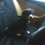 Wann sind wir denn da ? 2012-01-28-1600-009