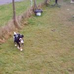 Ich bin schneller............ 2012-01-28-1611-013