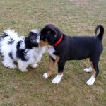 Wer bist Du denn ? 2012-01-28-1612-014