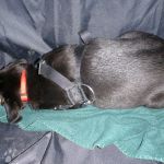 Ich bin geschafft........................... 2012-01-28-1722-020