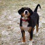 Was kommt denn da von oben iiii.............. 2012-02-09