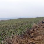 2012-02-18-1626-005