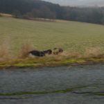 2012-02-18-1634-013