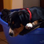 2012-02-19-1233-005