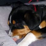 2012-02-19-1746-090