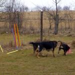 Spielen macht besonders viel Spaß 2012-03-03-1607-13