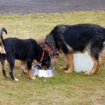 und vom spielen bekommt man richtig durst 2012-03-03-1607-18