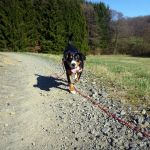 2012-03-04