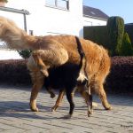 sieht doch ganz gut aus............... 2012-03-06