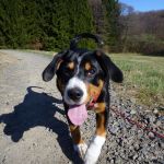 bin schon da 2012-03-06