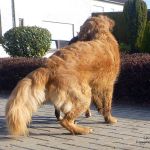 geschafft. Sag ich doch, ich bin kleiner........... 2012-03-07