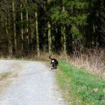 Frauchen, kannst Du mich nicht mal in Ruhe schnuffeln lassen? 2012-03-07
