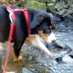 Frisches Wasser. schmeckt echt super 2012-03-14