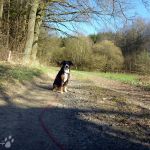 Bin ich kein hübsches Mädchen? 2012-03-20