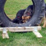 In der HuSchu 2012-03-21