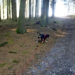 hat Frauchen was gesagt ? 2012-03-22