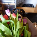 2012-04-01
