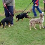 Plum, Plum,Plum, der Plumsack geht herum..................... 2012-04-07-1556-110