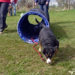 2012-04-21-1634-36