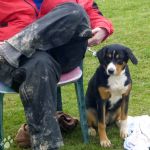 2012-04-21-1722-76